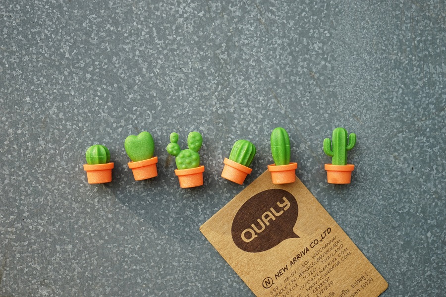 QL10288-OR-GN Магниты cactus, 6 шт. Qualy  - Вид №7