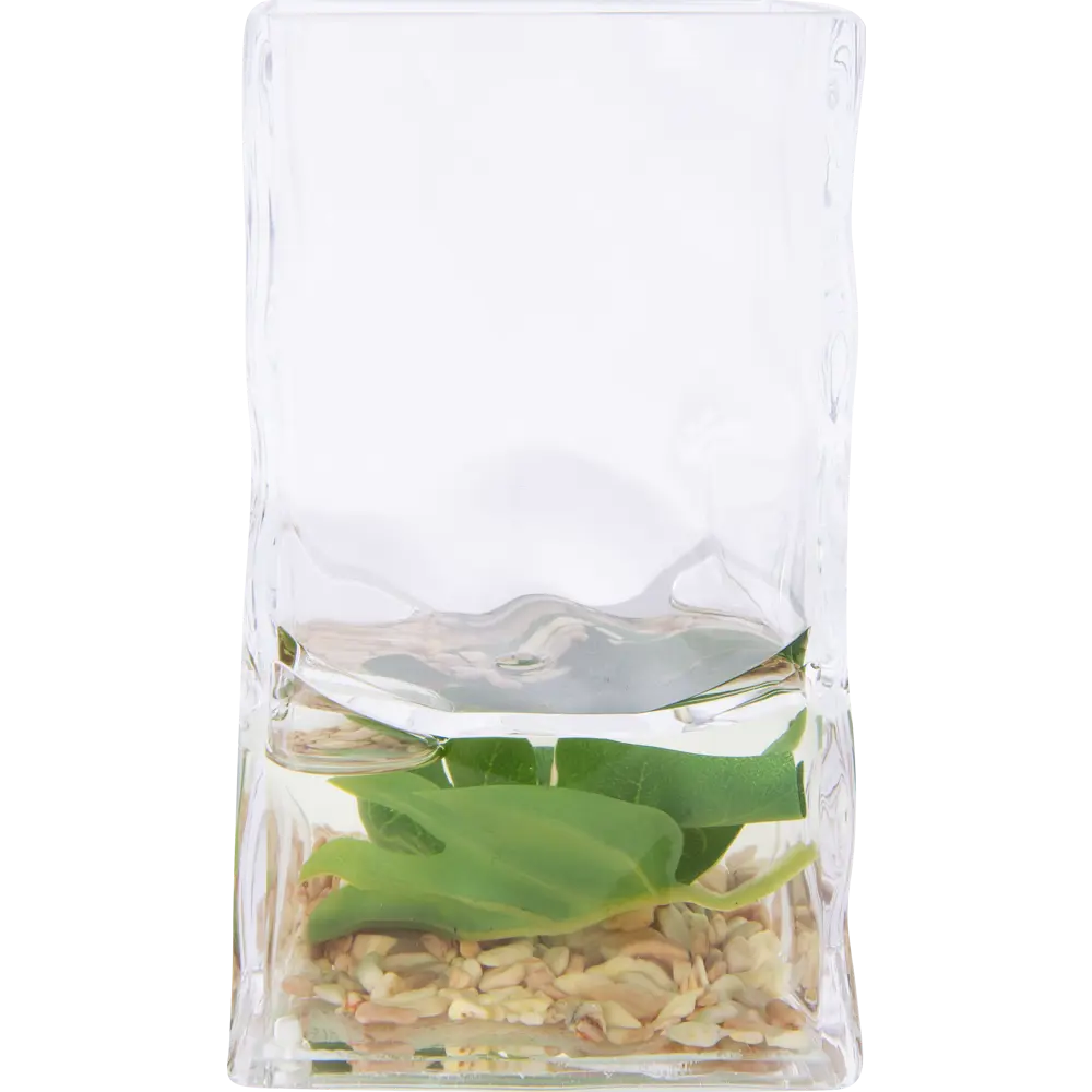 Стакан для зубных щёток Monstera VERRAN STLM-2120480 - Вид №2