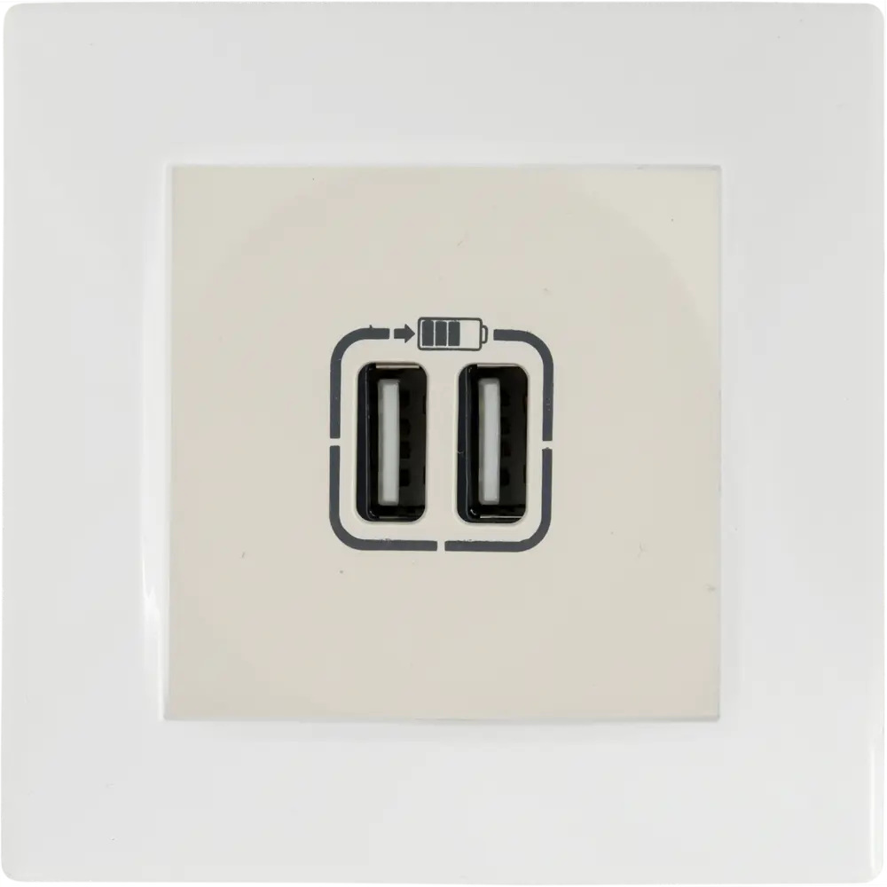 Двойная USB-розетка Legrand Etika для быстрой зарядки устройств 82496487 STLM-0028698 - Вид №3