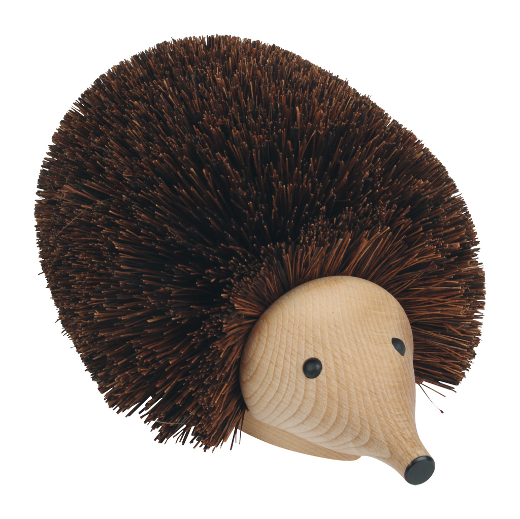 455000 обувь ежа Buerstenwelt 