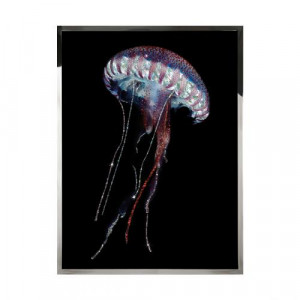 Steno Смешанная техника Visionnaire