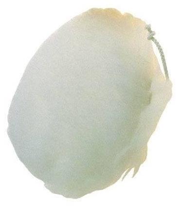 VIGOR® Принадлежности для дрелей sun-id-1406341 - Вид №3