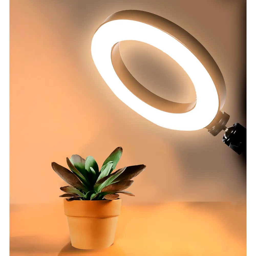 Кольцевая светодиодная лампа Santreyd 26 см для профессиональной съемки 85600163 STLM-1378600 - Вид №2