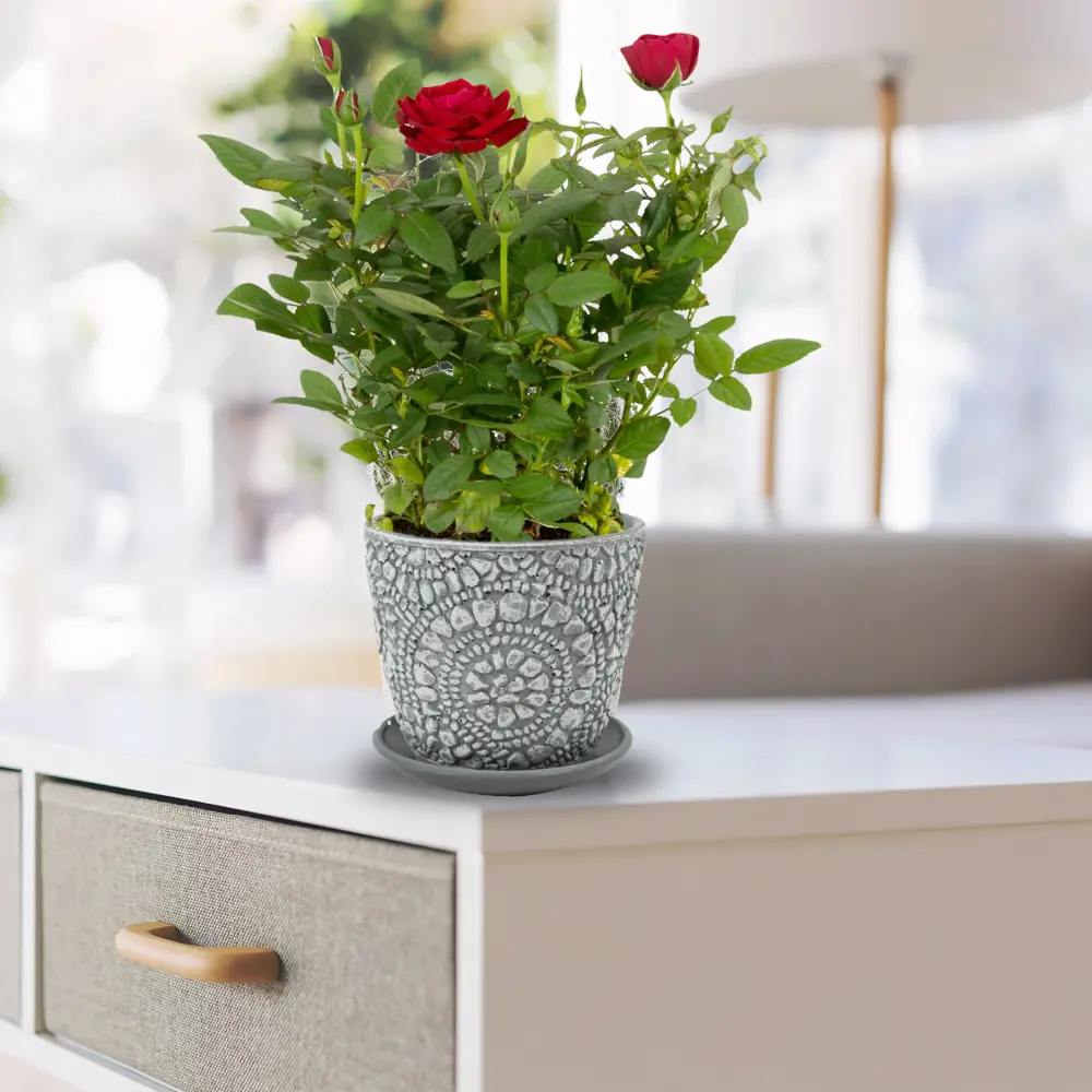 Santreyd Камешки — керамический цветочный горшок с поддоном 84450906 STLM-0050241 - Вид №3