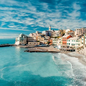 C1-063 Фотообои DIVINO Collection C 2.7х3 м