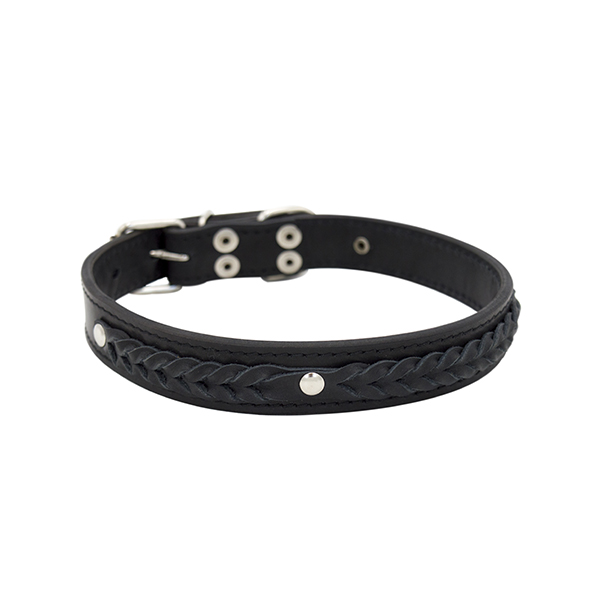 ПР0048196 Ошейник для собак Колосок 2сл 26мм 50см черный ZOOEXPRESS 