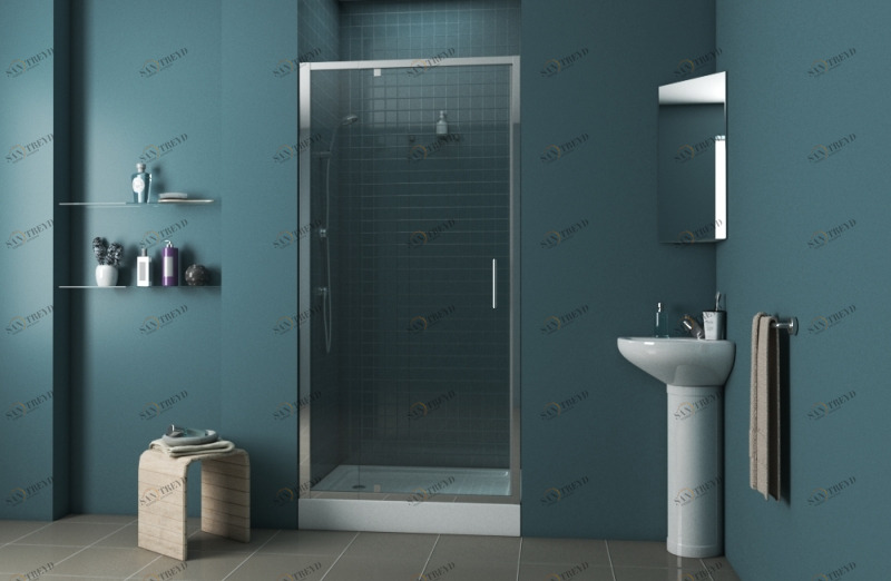 Душевая дверь в нишу, одна распашная дверь LINE BD100.4112A bravat