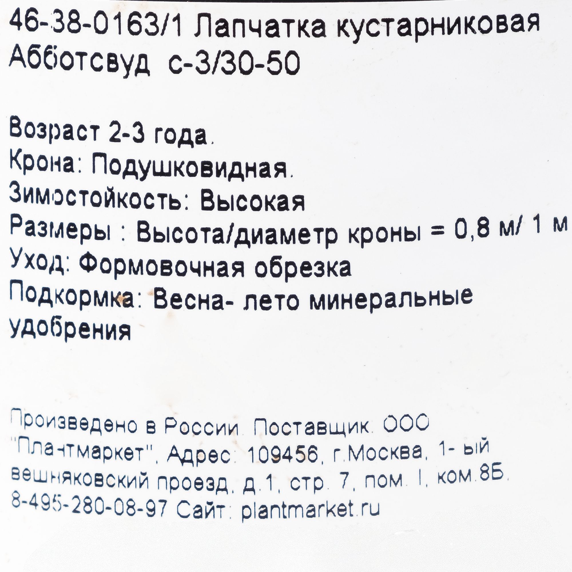 18468672 Лапчатка кустарниковая «Абботсвуд», С3/30-50 см Santreyd  - Вид №1