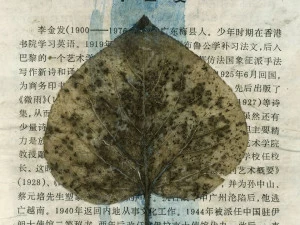 MOMENTI Художественная печать Crazy home paintings 046