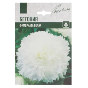 Бегония Фимбриата белый луковица 4/5 2 шт 81945824 STLM-2089290