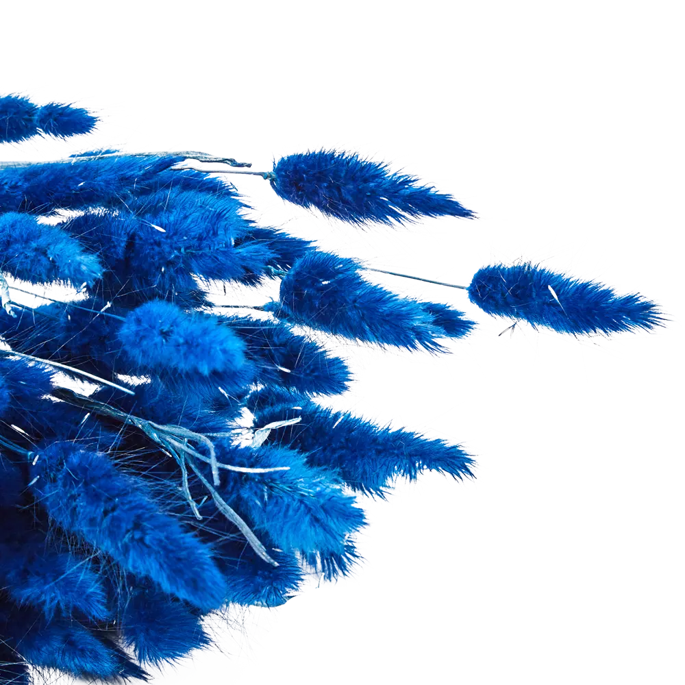 Букет из сухих цветов Лагурус микс 2 70 см Santreyd STLM-2185331 - Вид №1