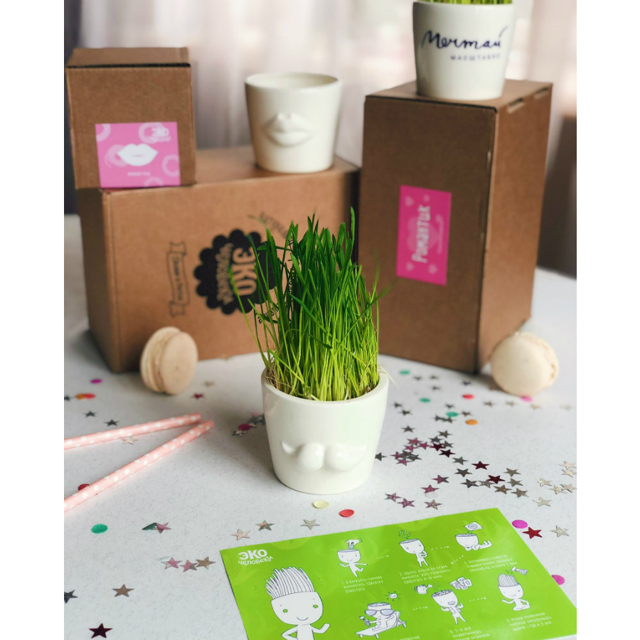 MIN-1-02 Набор для выращивания eco мини-кашпо «усы» Экочеловеки  - Вид №8