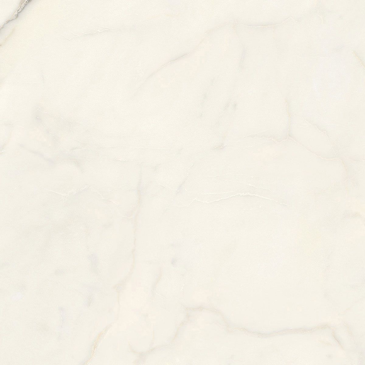 Пол / керамогранит с мраморным эффектом Italgraniti Marble Touch ARCH-00152884 - Вид №61