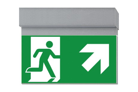 DST-1869 Ikus 2211-t Daisalux Светильники сигнальные Серебристо-Серый 