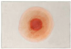 Calligaris Прямоугольный ковер с длинным ворсом из полиамида  Cs7210-a