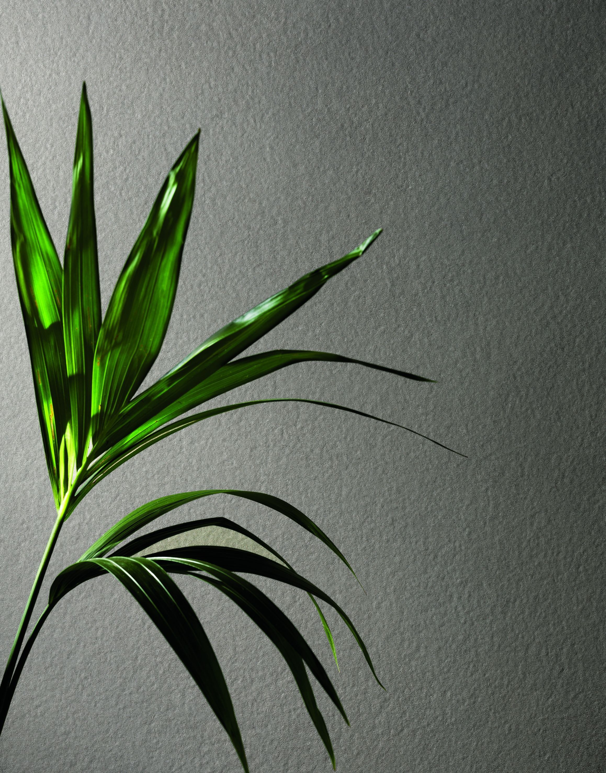 Пол / керамогранит FAP ceramiche Лето ARCH-00042915 - Вид №60