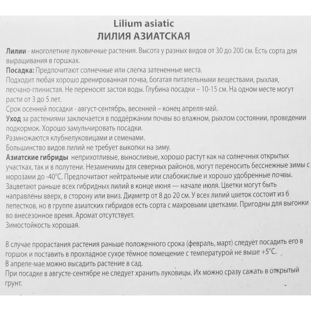 Лилия азиатская Жуан-песоа 85205798 STLM-2075393 ПОИСК  - Вид №2