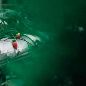 WP02126 Фотообои Verol Фотообои decoline 1х1 м