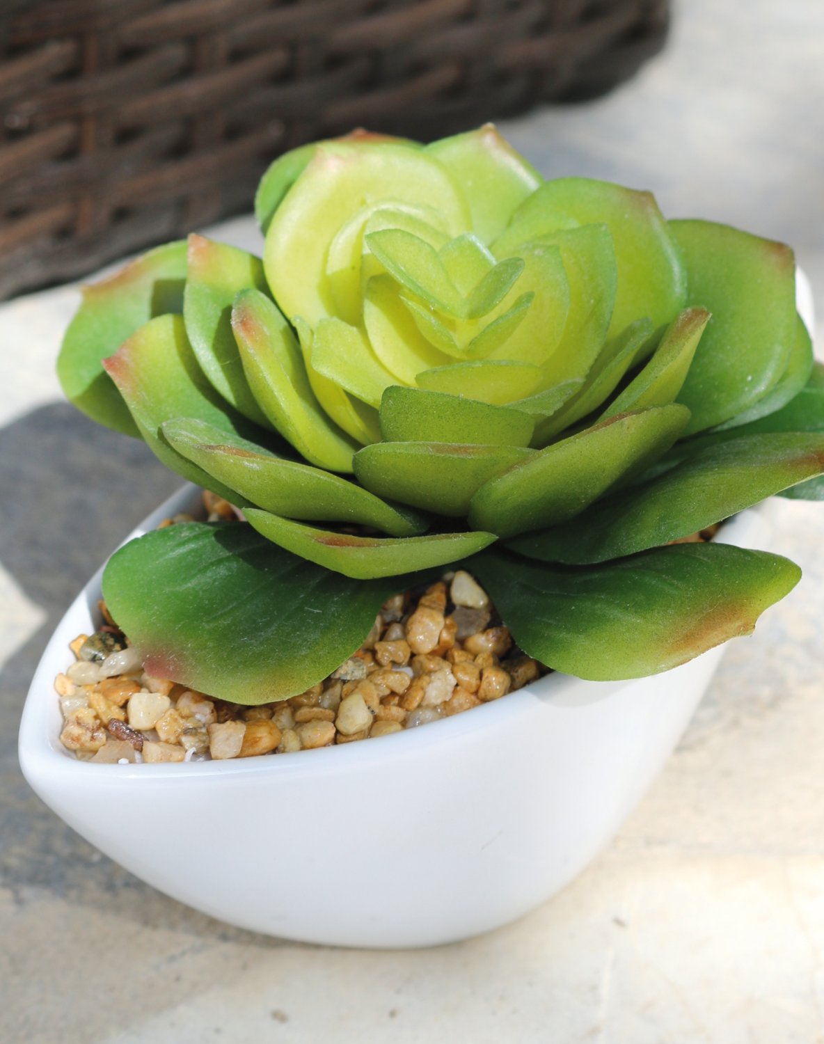 6333 883 a3 Эхеверия имитация в керамическом горшочке, 9см, зеленая H-andreas  - Вид №3