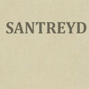 954326 Обои Rasch Maximum XIV