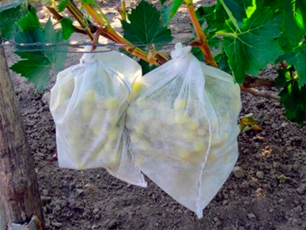 Спанбонд белый СУФ 60, 3,2*10 м ГеоПластБорд GPBST-119 - Вид №4