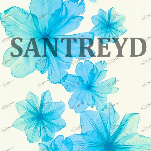 34272-5 Обои A.S. Creation X-Ray 342725