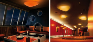 006980 Светильник LED Alma Light Stone