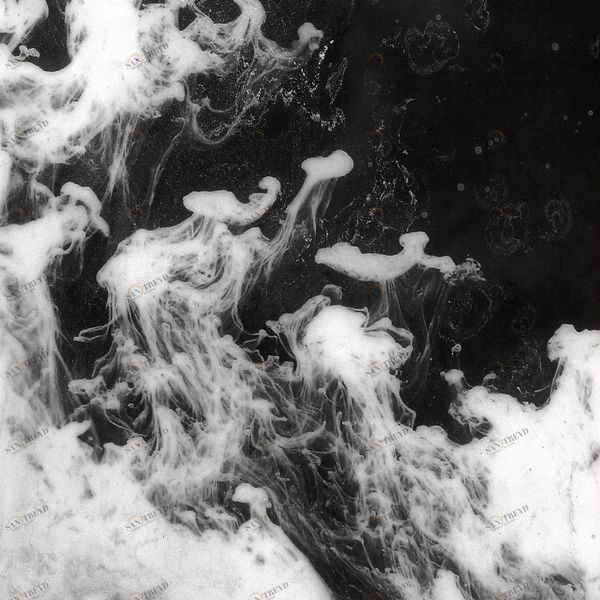 Арт-панель на холсте Alex Turco Liquid Dreams Black Souls BLACKSOULS