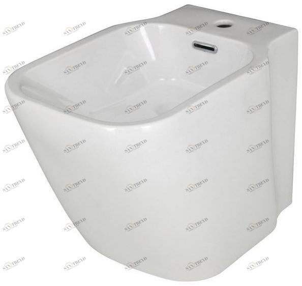 100099984 Биде напольное Essence-c Noken