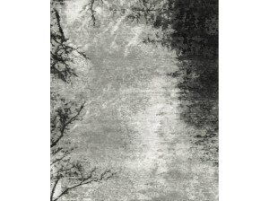 Прямоугольный ковер / шерстяной ковер