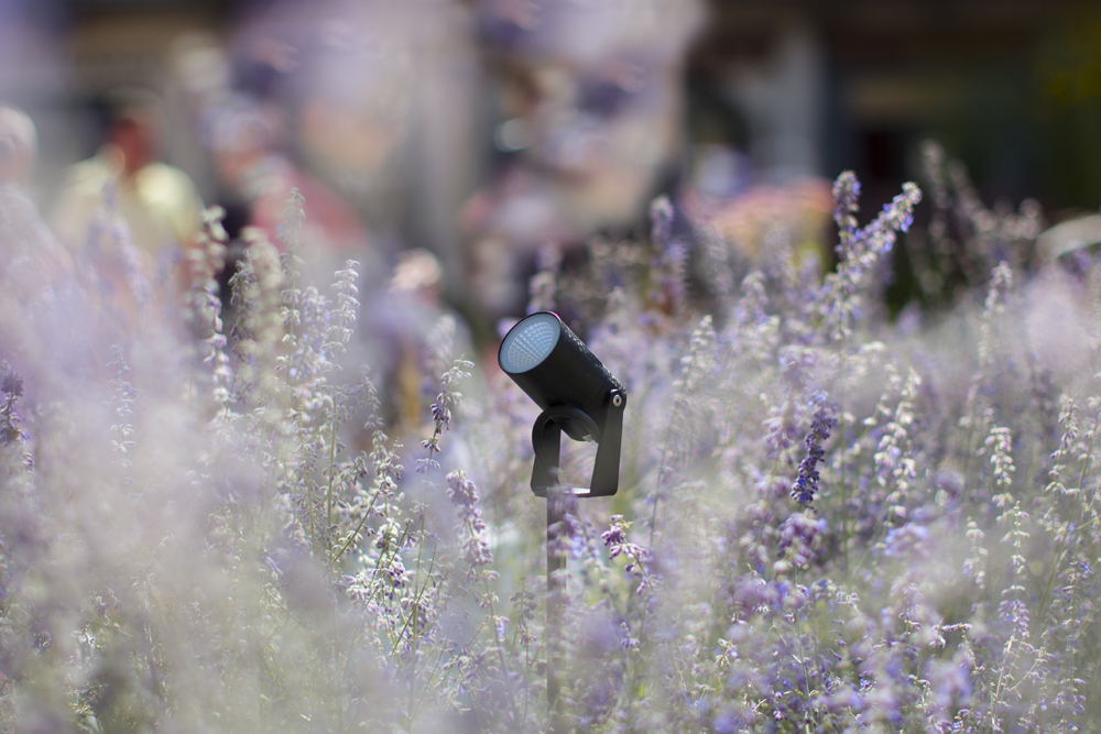 9405118 Проектор Platek NANO XL Proiettore  NANO XL Прожектор - 1 COB 3000K 30°  - Вид №7