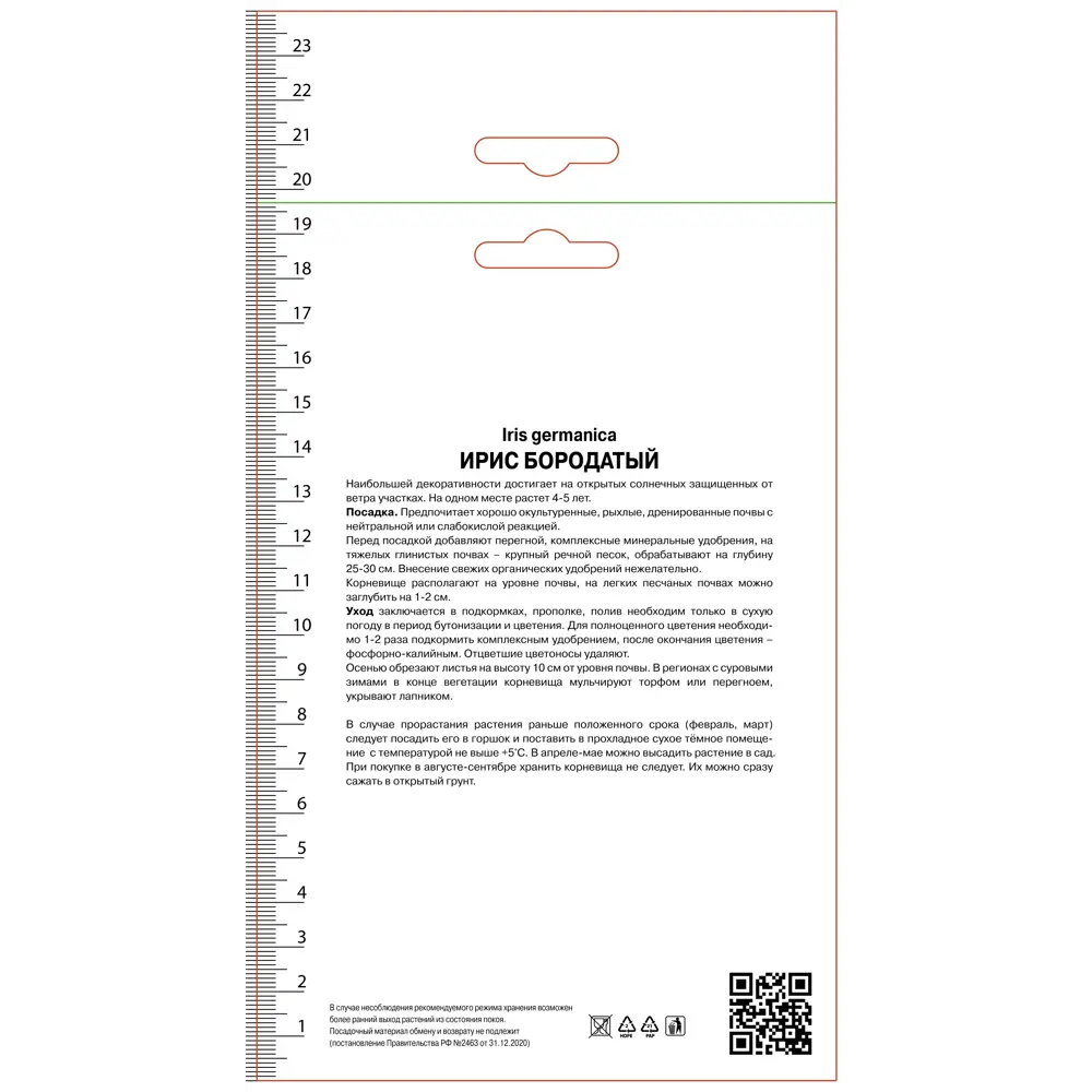 Ирис бородатый Блашинг Пинк 89452264 STLM-2004447 ПОИСК 