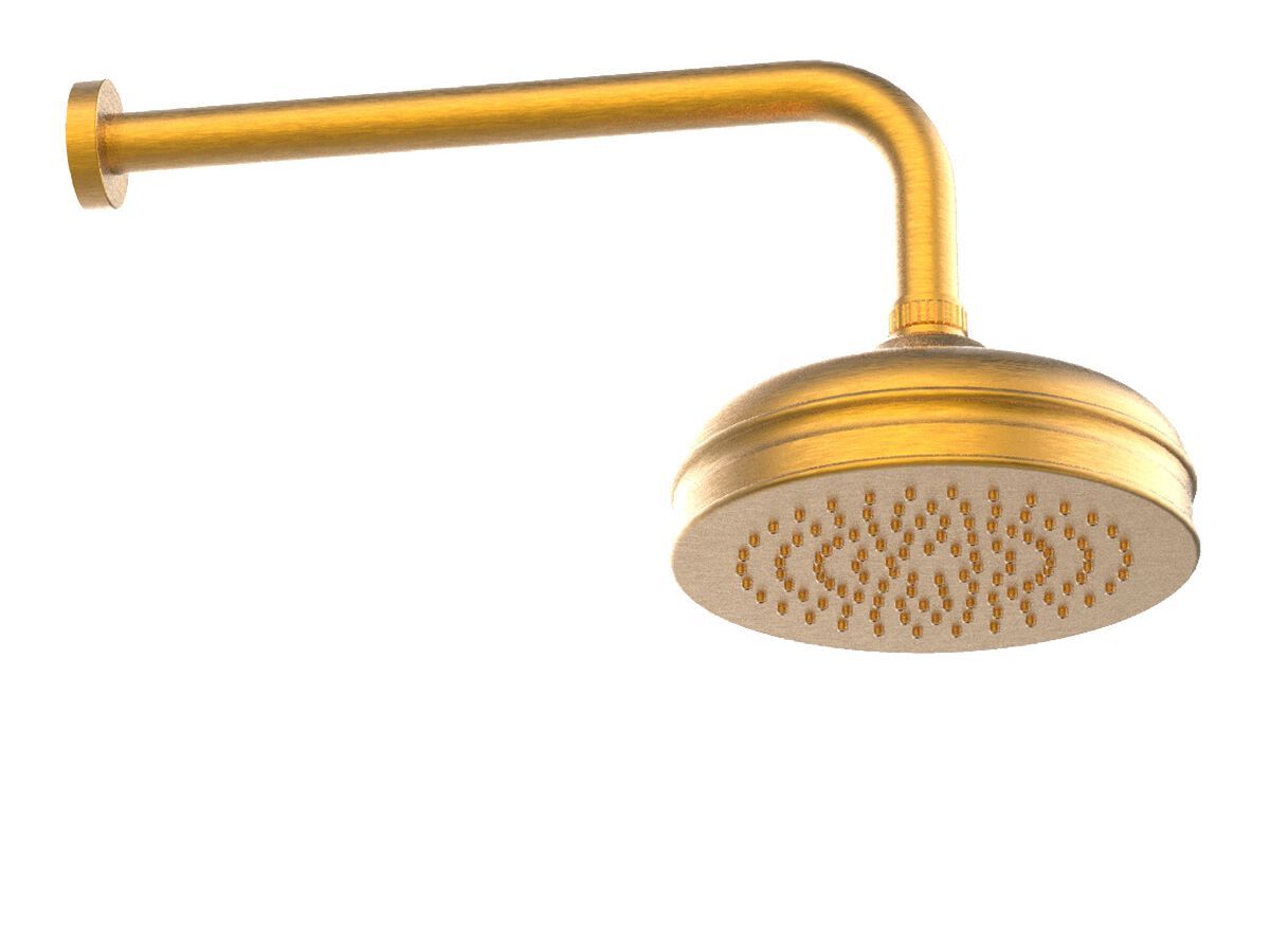 Круглая душевая головка из нержавеющей стали с кронштейном Rubinetterie Frattini душевые кабины ARCH-00022350 - Вид №15