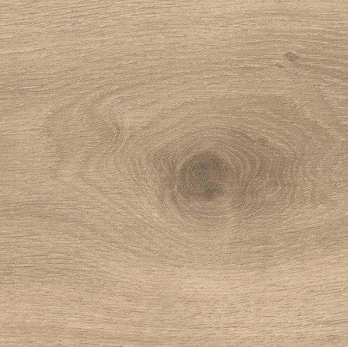 Ламинат Haro Дуб Мелина Пуро 1000900495 - Вид №3