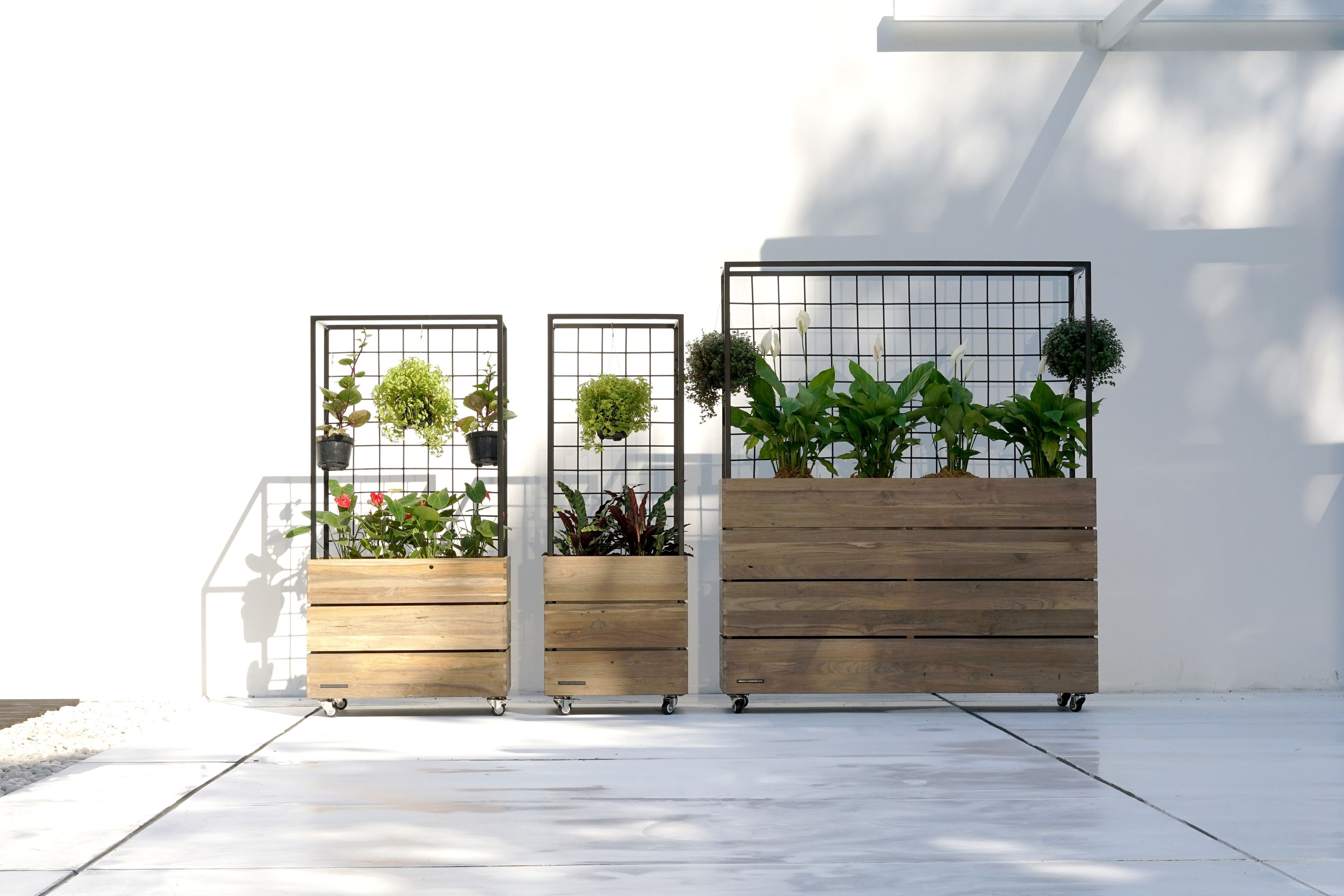 Плантатор / ТИК сад разделитель экрана MAMAGREEN Aiko ARCH-00091030 - Вид №1