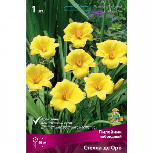 88295011 Лилейник гибридный Стелла де оро луковица I