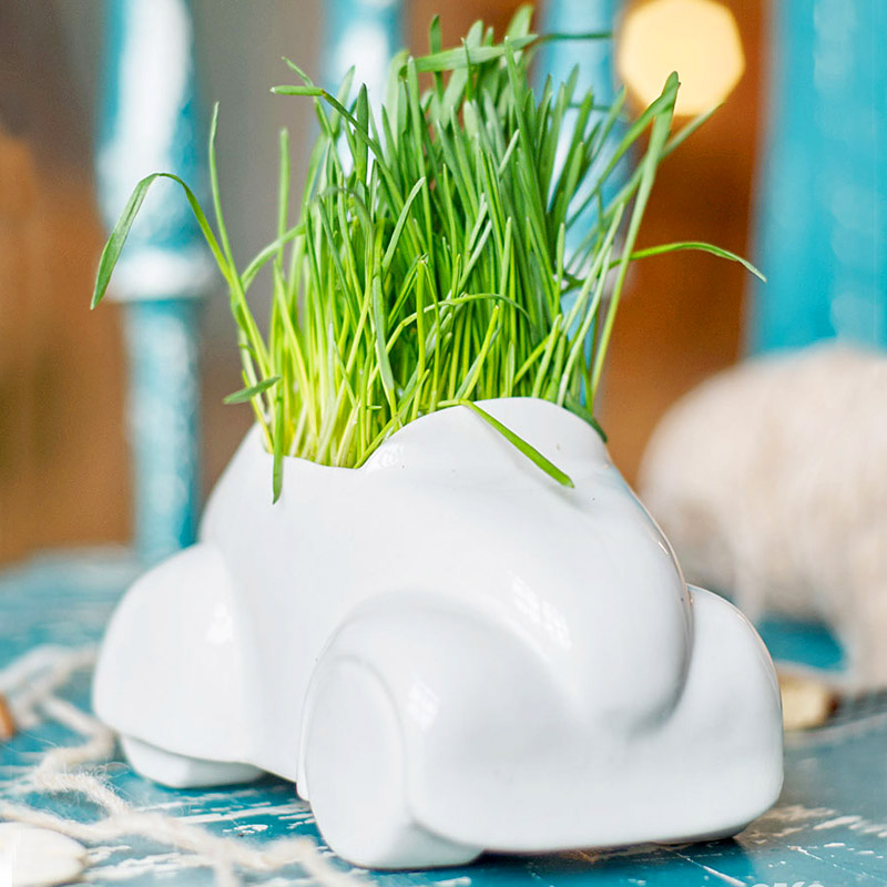 7002 Набор для выращивания eco машина Экочеловеки 