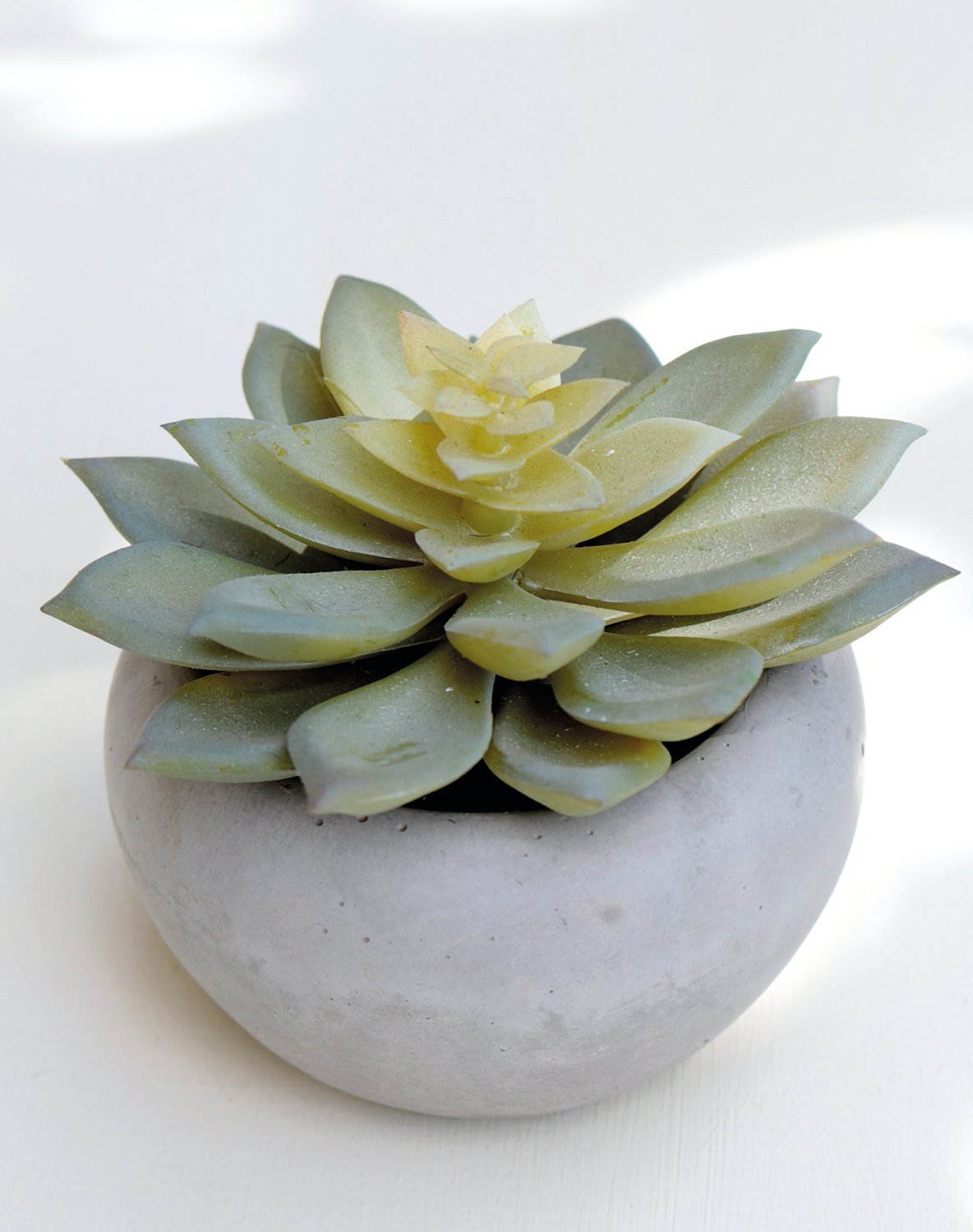 6035 883 a3 Пластиковые суккуленты-микс, горшечные, 6 шт., 7-12 см, зеленые H-andreas  - Вид №2