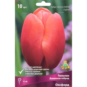 Тюльпан Дарвинов гибрид Оксфорд, 10 шт 85205571 STLM-2145117