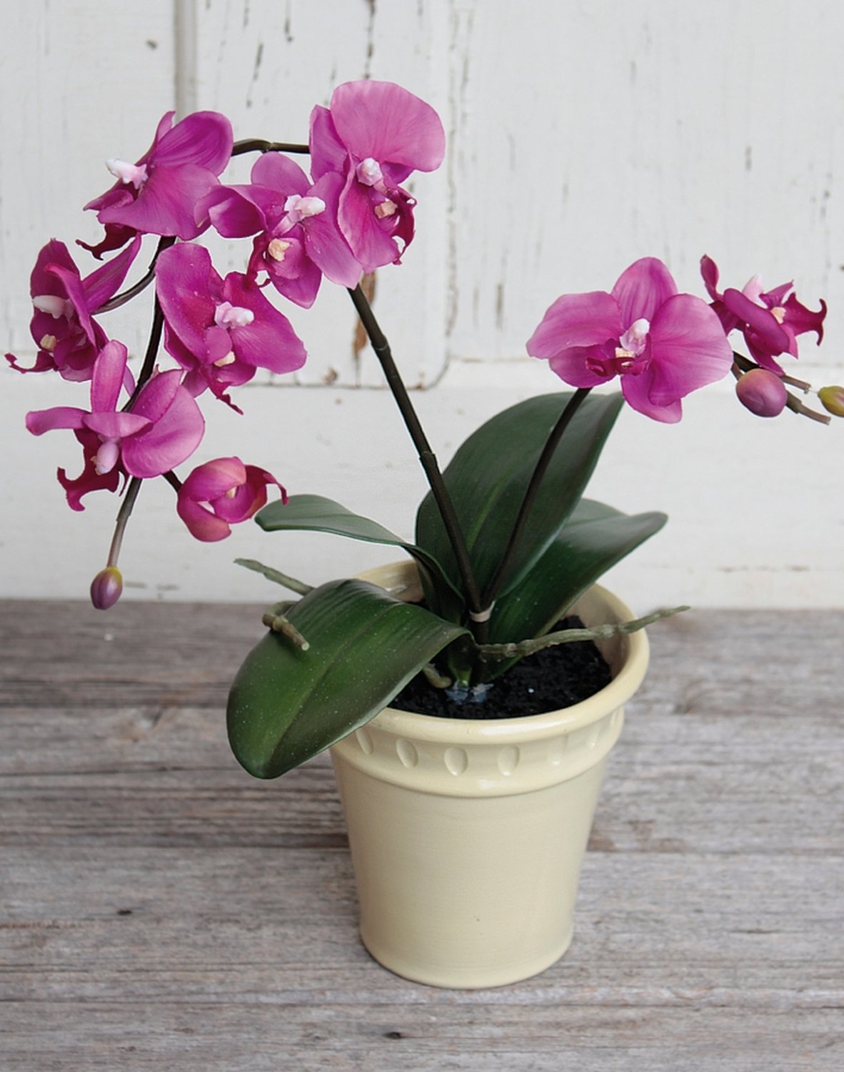 2527 420 a2 Искусственная орхидея Phalaenopsis, горшечная, 60 см, real touch, вишня H-andreas 