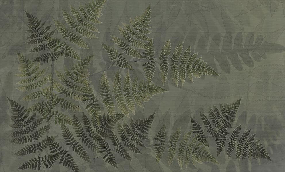 Обои с рисунком N.O.W. Edizioni NATURE / SHADOW FERN ARCH-00082687 - Вид №3