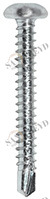 Винт RK 01 48 025 RK01 Tecfi 4,8 х 25 