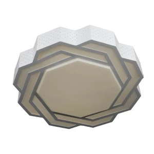Потолочный светодиодный светильник Omnilux OML-43607-40 OMNILUX OML-436 202575 Белый
