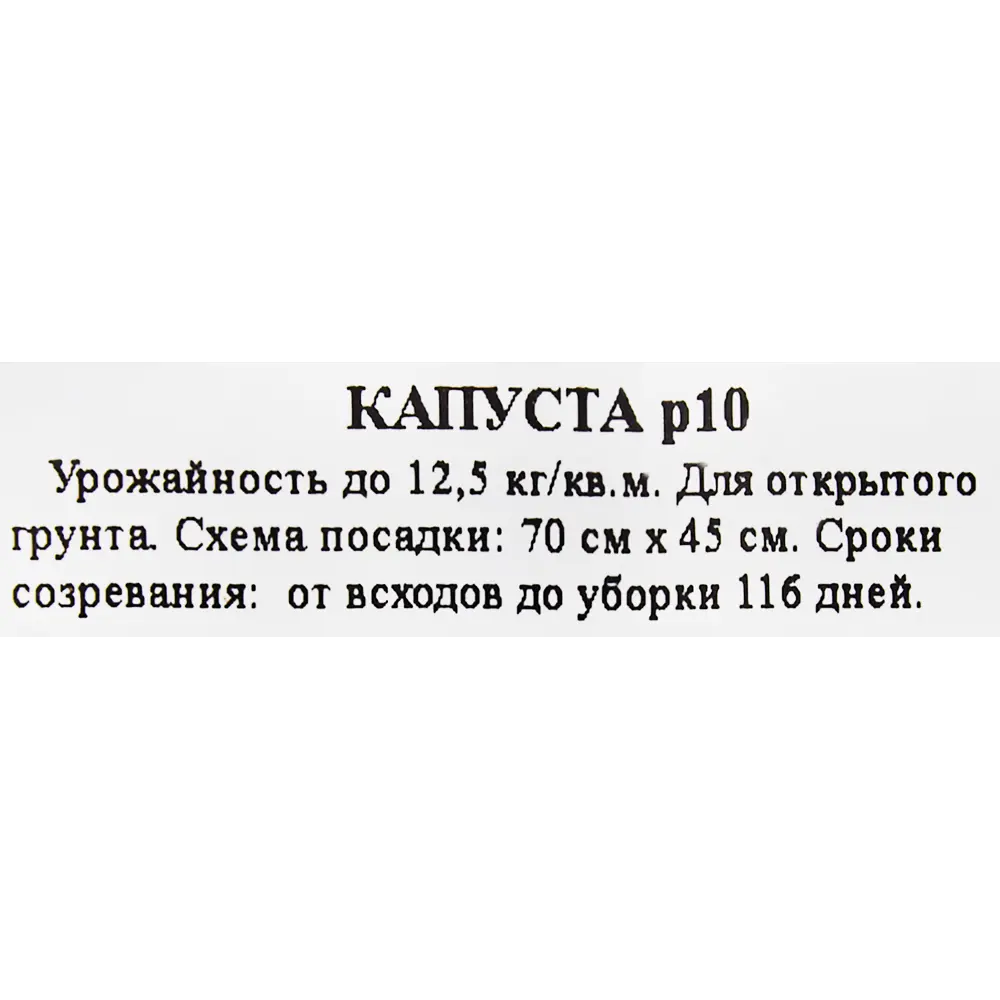 Рассада Капуста ø9 h15 см 83248590 STLM-2048917 Santreyd  - Вид №1
