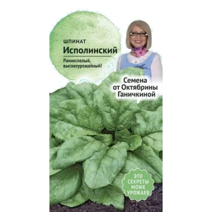 Семена Шпинат «Исполинский» 83230023 STLM-2126184