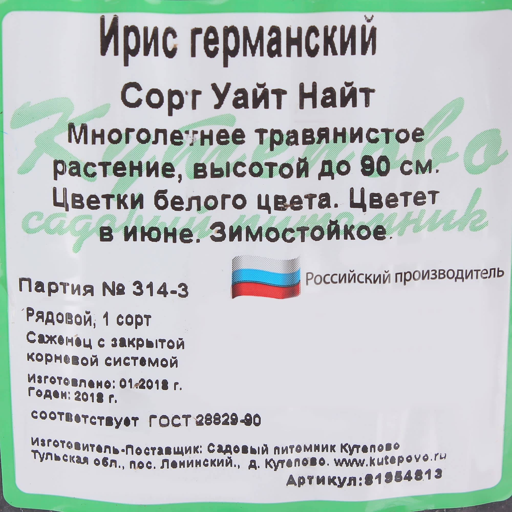 81954813 Ирис германский С1 «Вайт» Santreyd  - Вид №1