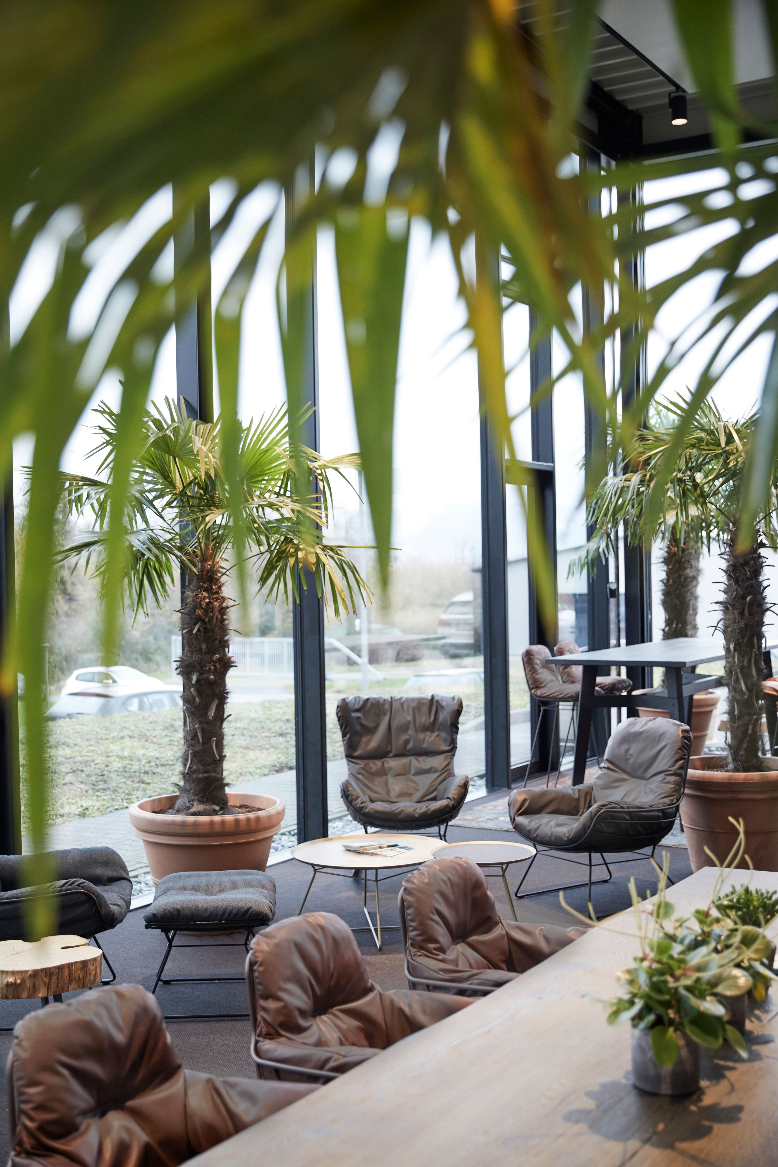 Кожаное кресло-качалка с подлокотниками Freifrau Leyasol ARCH-00034266 - Вид №5