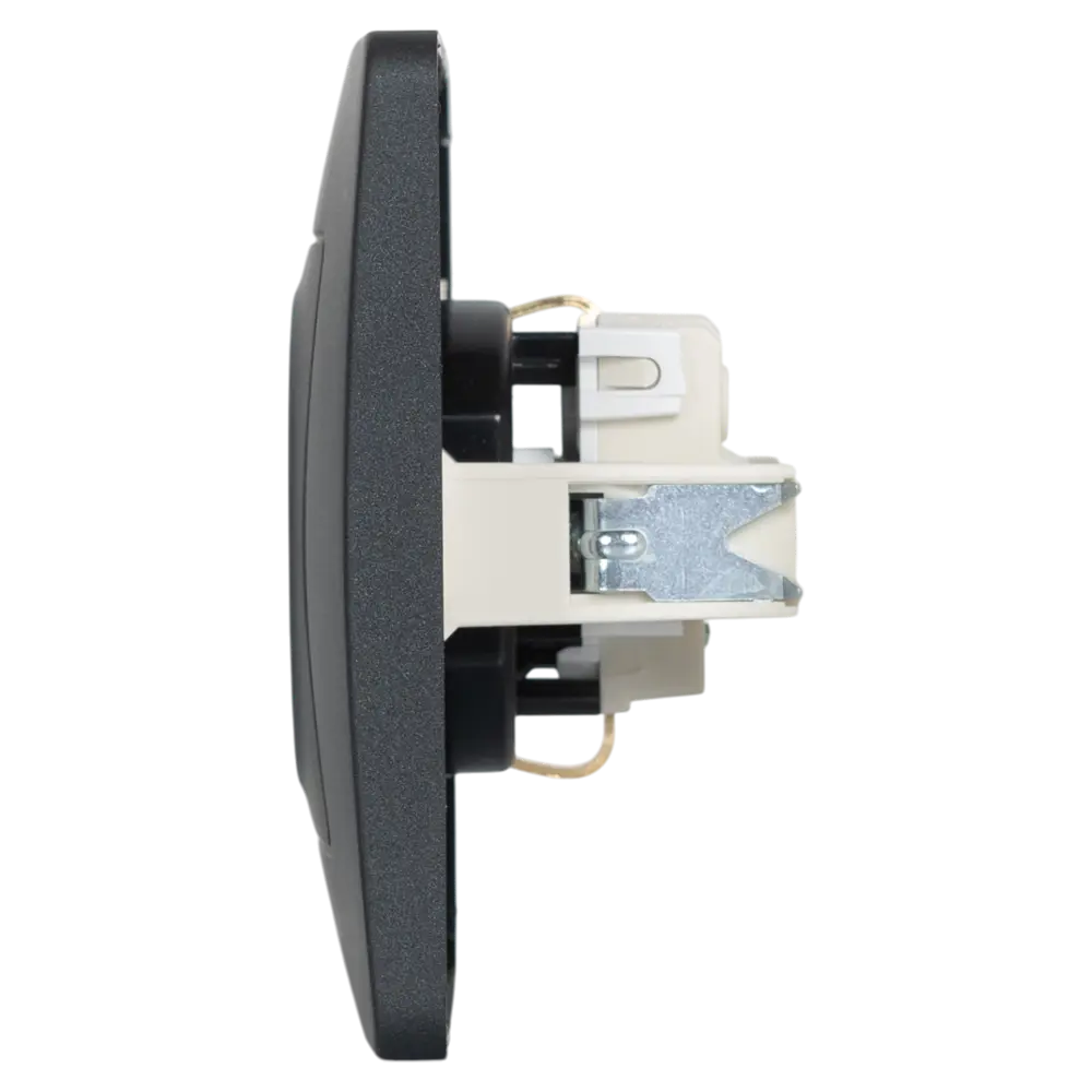 Розетка встраиваемая Systeme Electric Blanca с заземлением со шторками цвет антрацит STLM-2187996 - Вид №3