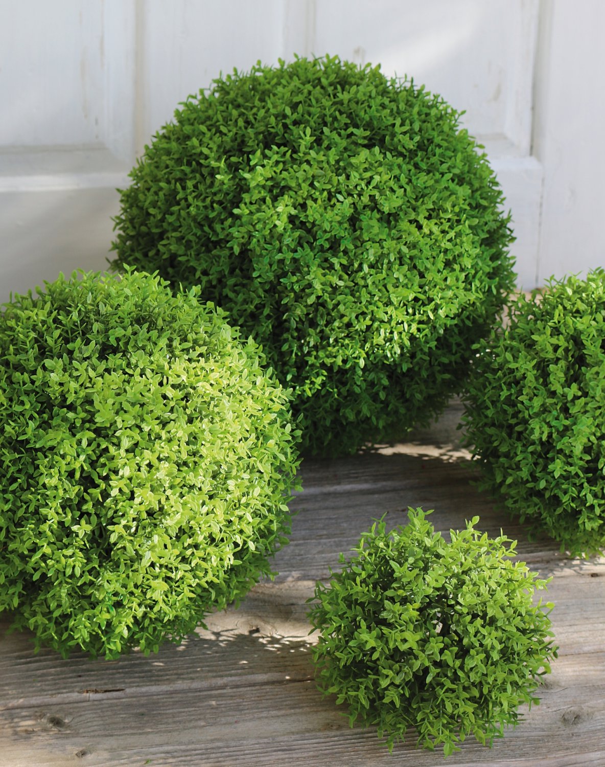 4545 803 a3 Шарик из искусственного мирта, Ø 22 см, желто-зеленый H-andreas  - Вид №2