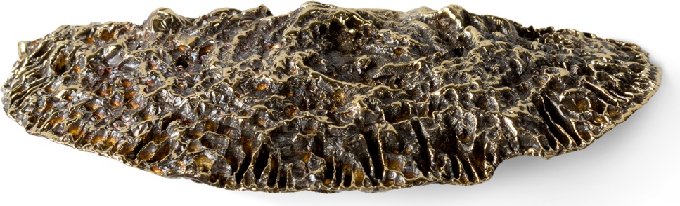 EA1034 Fungi PULLCAST Earth Collection  - Вид №2